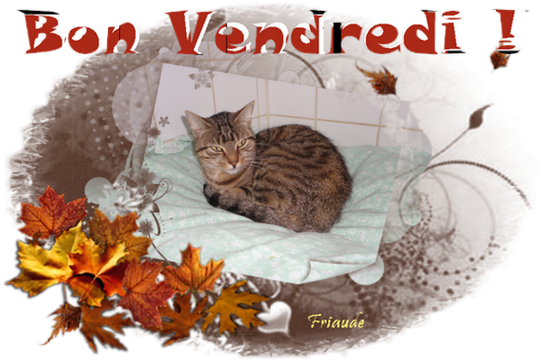mes creations bon vendredi