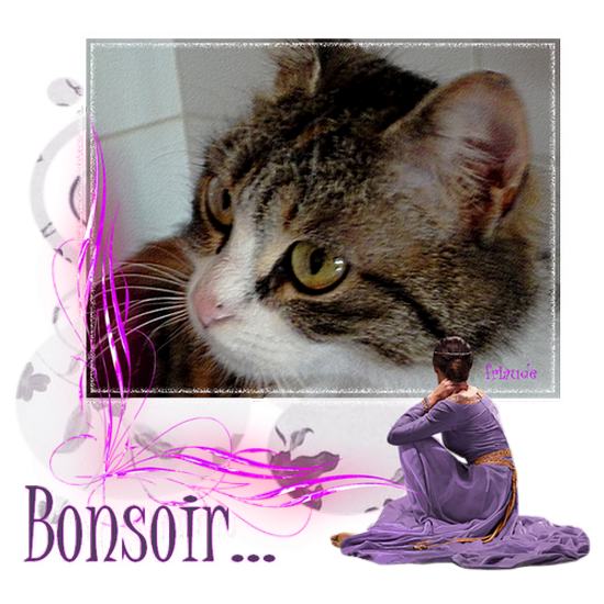 mes creations bonsoir