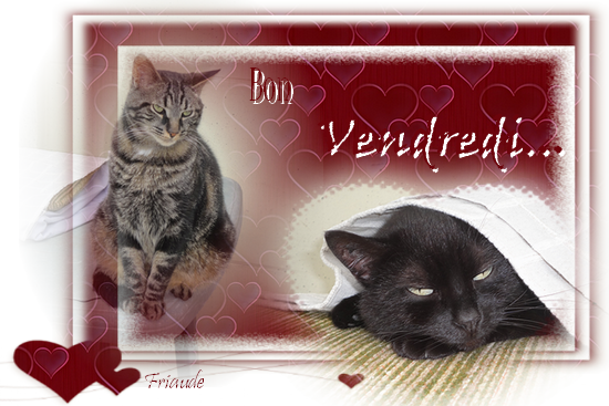 mes creations bon vendredi