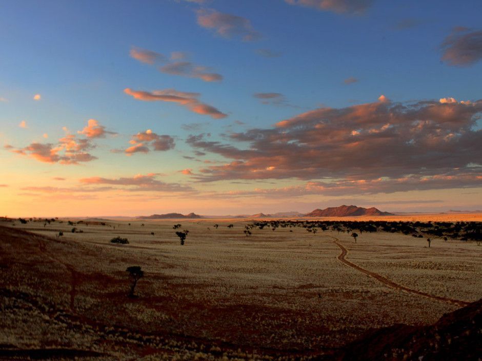 Désert Du Namib-Namibie